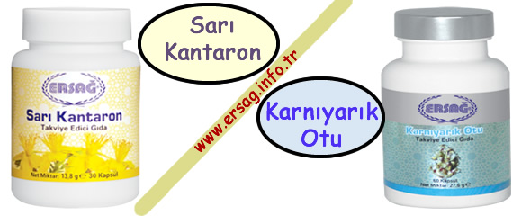 ersag-karniyarik-otu-sari-kantaron-otu