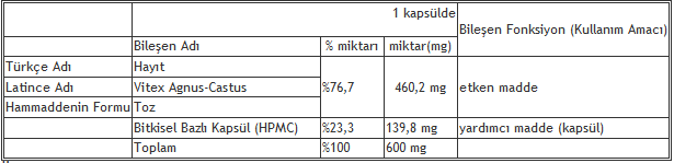 hayit-bilesen