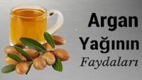 Argan Yağı Nedir? Faydaları Nelerdir?