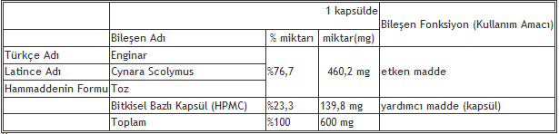 enginar-bilesen